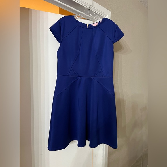 Ted Baker London Blue fit and flare size 4 (uk) or 10-12 (us) large. - Picture 1 of 5